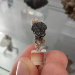 Marcasite psm pyrrhotite