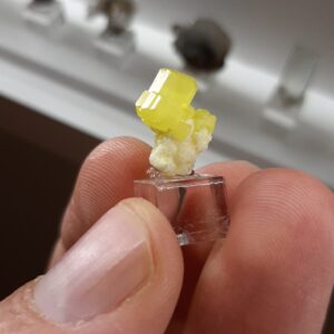 Sulphur on aragonite