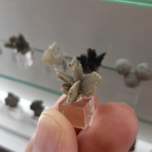 Gypsum