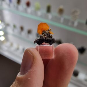 Wulfenite