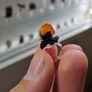 Wulfenite