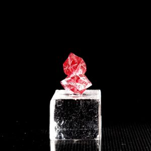 Cinnabar twin