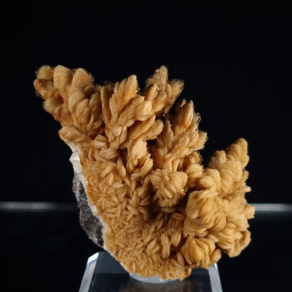 Baryte with pyrite