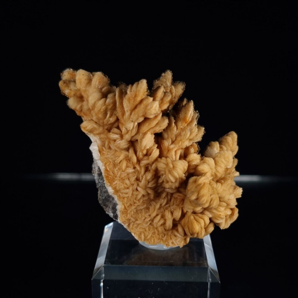 Baryte with pyrite