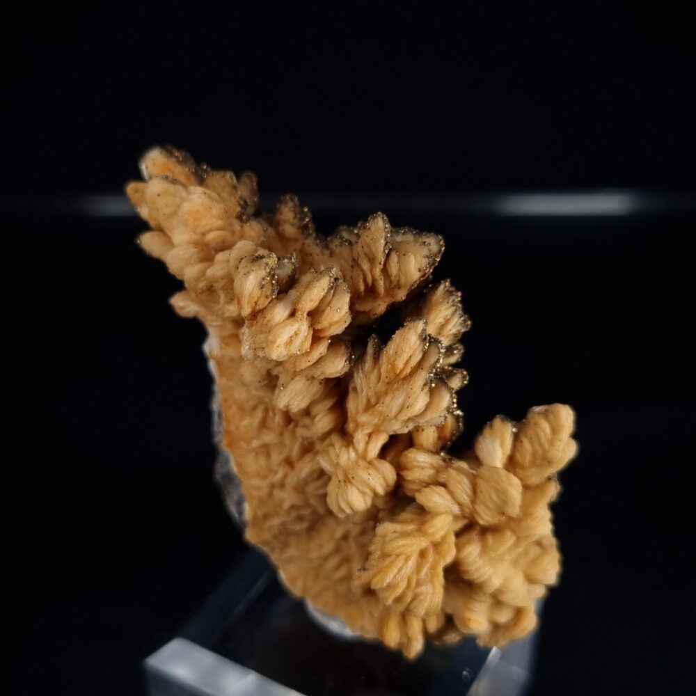 Baryte with pyrite