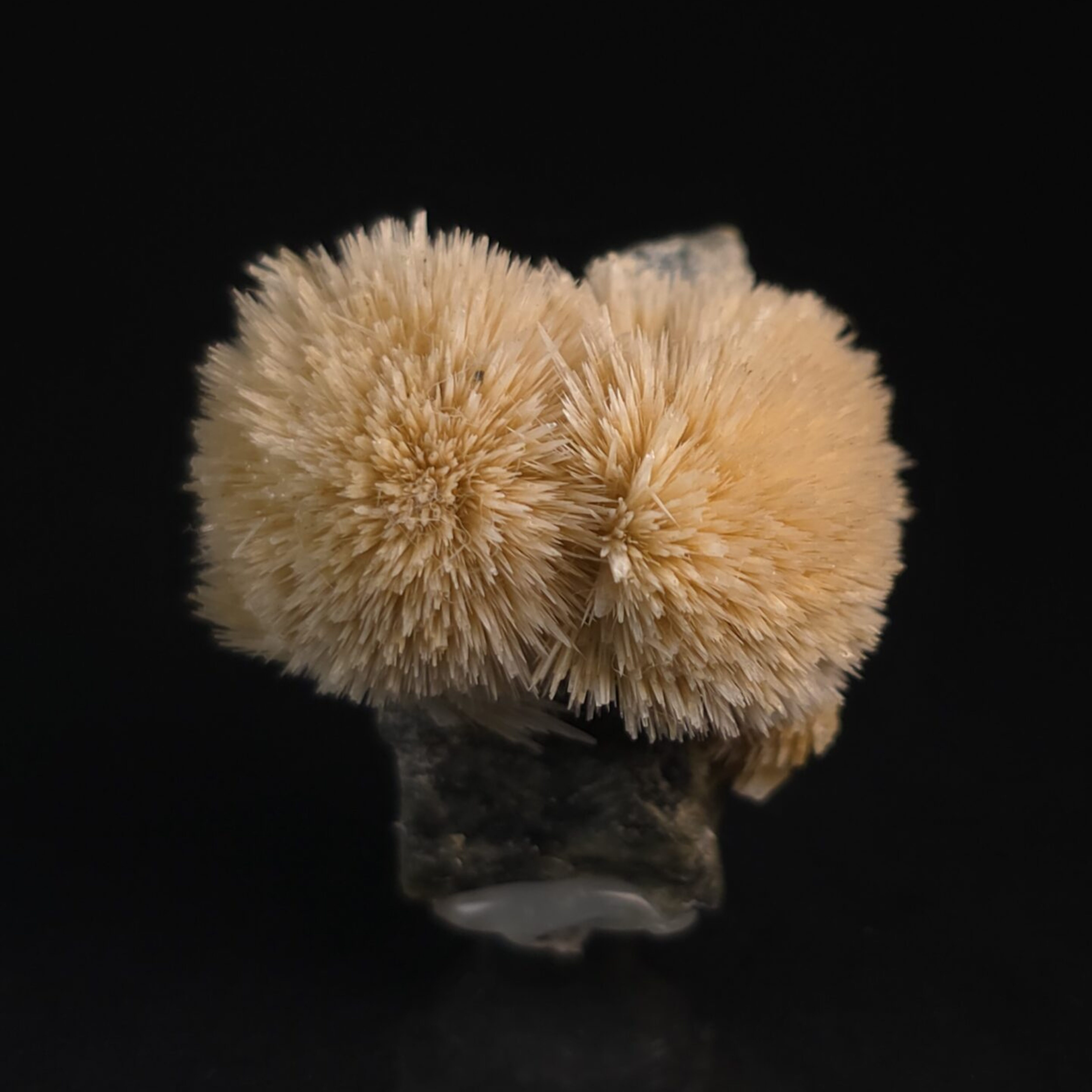 Aragonite