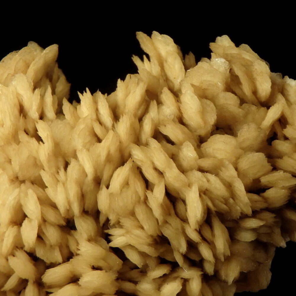Baryte